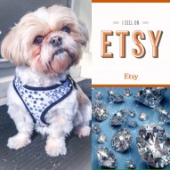 dddfa4d4-c3e7-4d20-b381-e4d51b38fac5