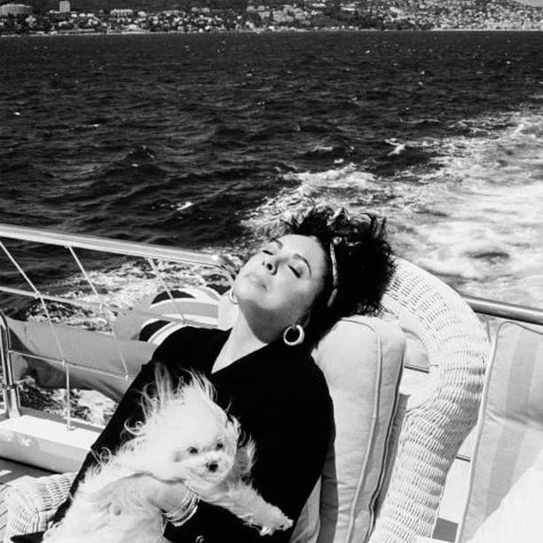 13687171_382865821837197_165851122_n