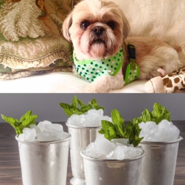 3E0595DA-5CF2-497D-A36C-E63FDDCDDC80