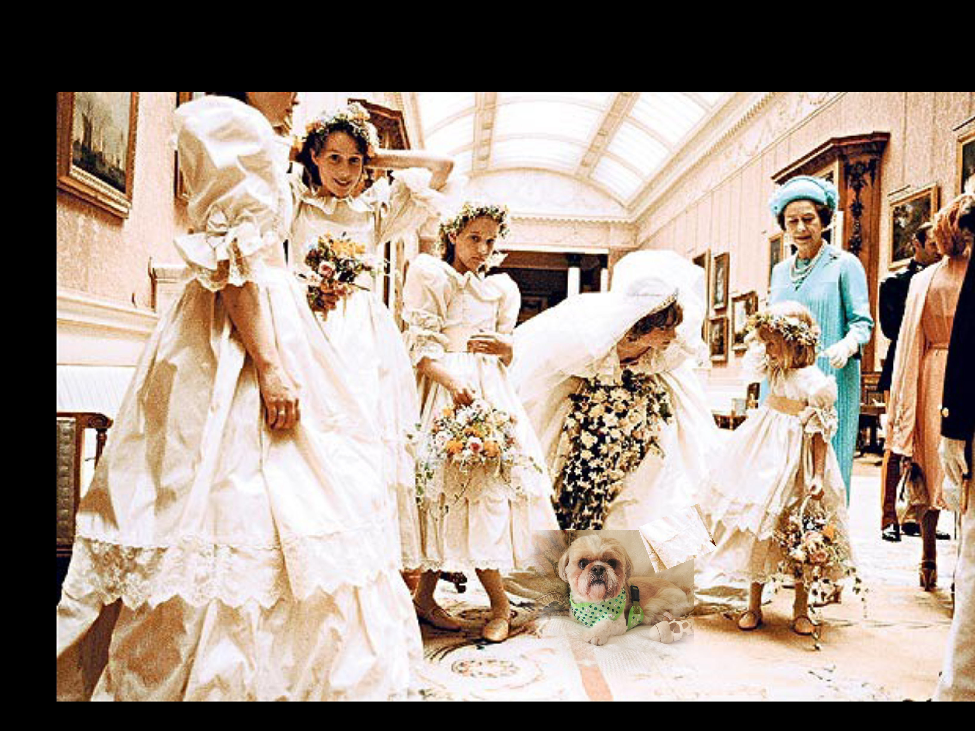 IMG_2122 (2).00_03_05_09.Still009